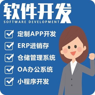 惠州定制化软件开发